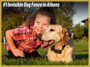 Facebook Ads Grid Tool Facebook Ads Grid Tool