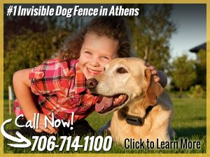 Facebook Ads Grid Tool Facebook Ads Grid Tool