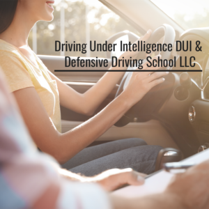 Driving Under Intelligence DUI & Defensive Driving School LLC