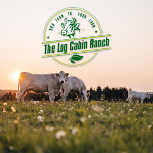Cows grazing in a meadow at sunset, with The Log Cabin Ranch farm logo overlay