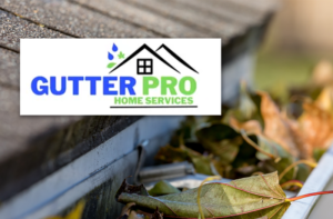 Gutter Pro Home Services and Gutter Cleaning in Athens