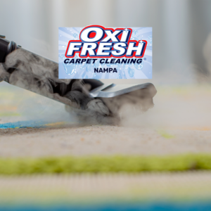 Steam rises as a carpet cleaning nozzle glides across a rug, Oxi Fresh Carpet Cleaning Nampa logo above