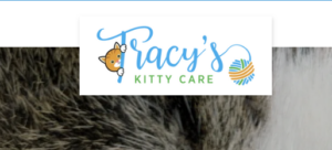 Tracys Kitty Care in East Amherst
