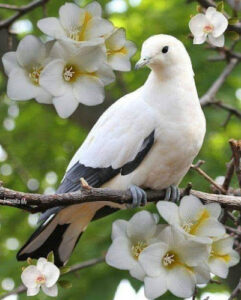 The Law Office of Jennifer Garcia - 1041 44th St, Brooklyn, NY 11219