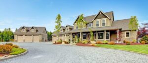 Blind Horse (Everson) On The Web