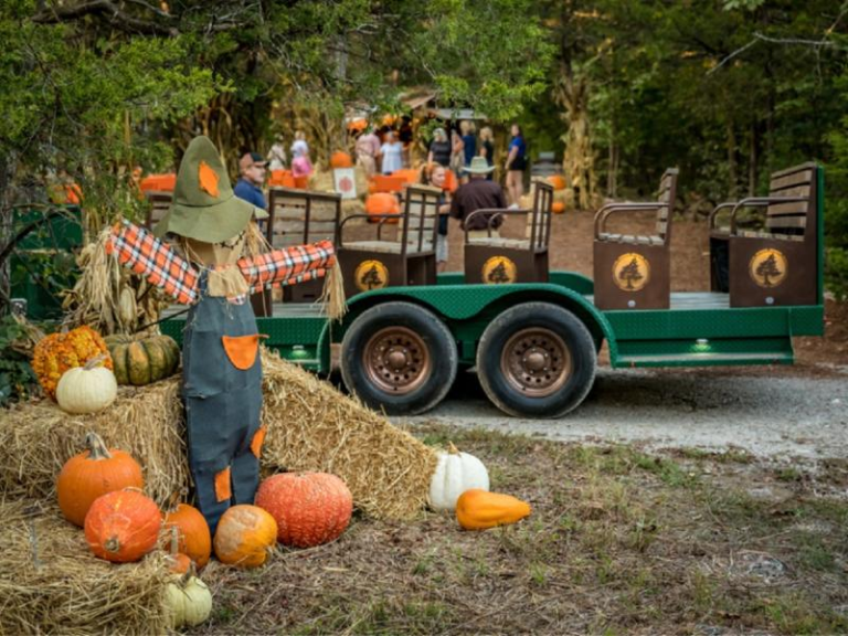 Celebrating Fall Festivals and Events Around the World