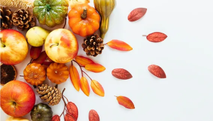 Fall Superfoods You Should Be Eating + Recipes